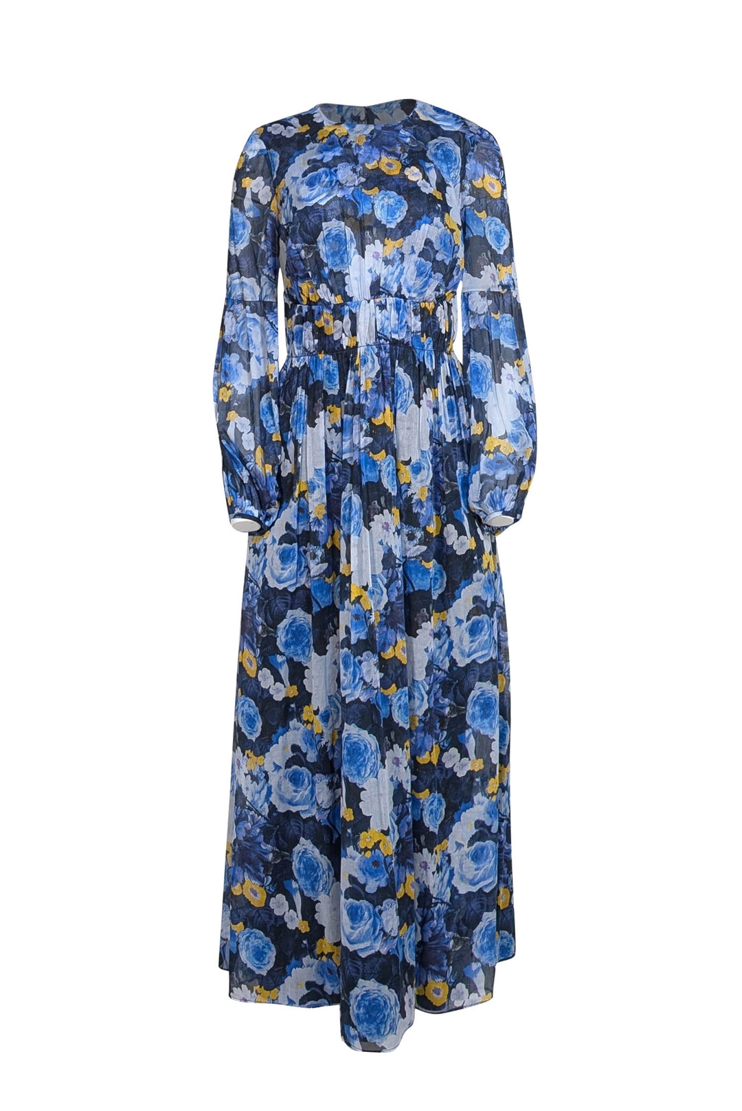 princess polly baby blue dress Paige Carmelia Floral-print Silk-georgette Maxi Dress Blue Paige