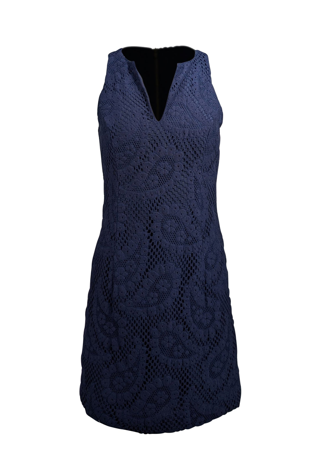 Navy lace sleeveless dress best sale