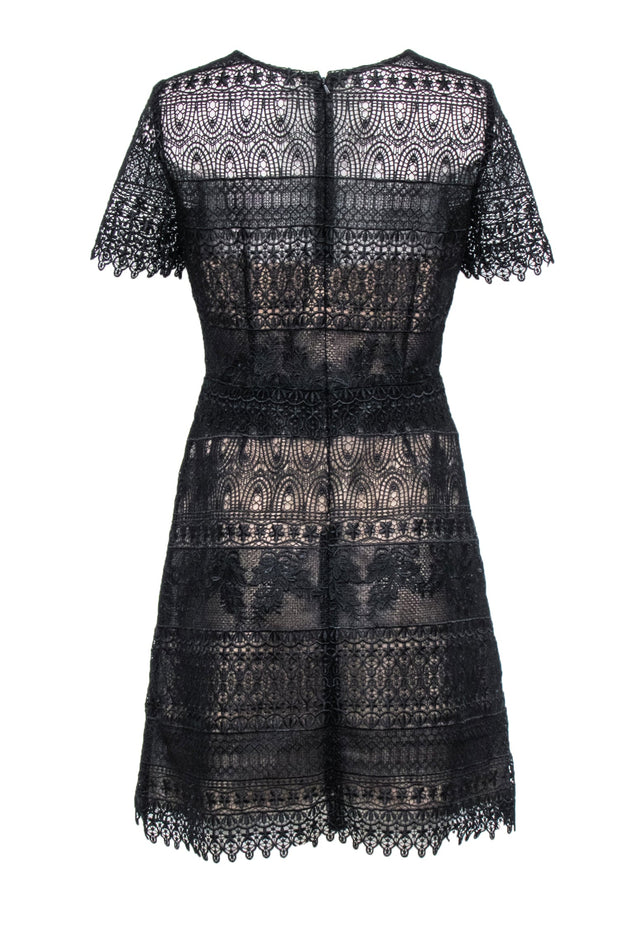 Current Boutique-Marchessa Notte - Black Lace Short Sleeve A-Line Dress Sz 8