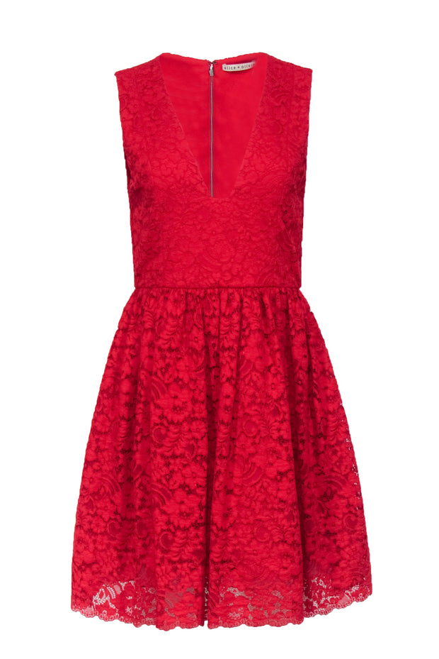 alice and olivia red lace dress Holiday Glamour with ALICE + OLIVIA Sarah Christine