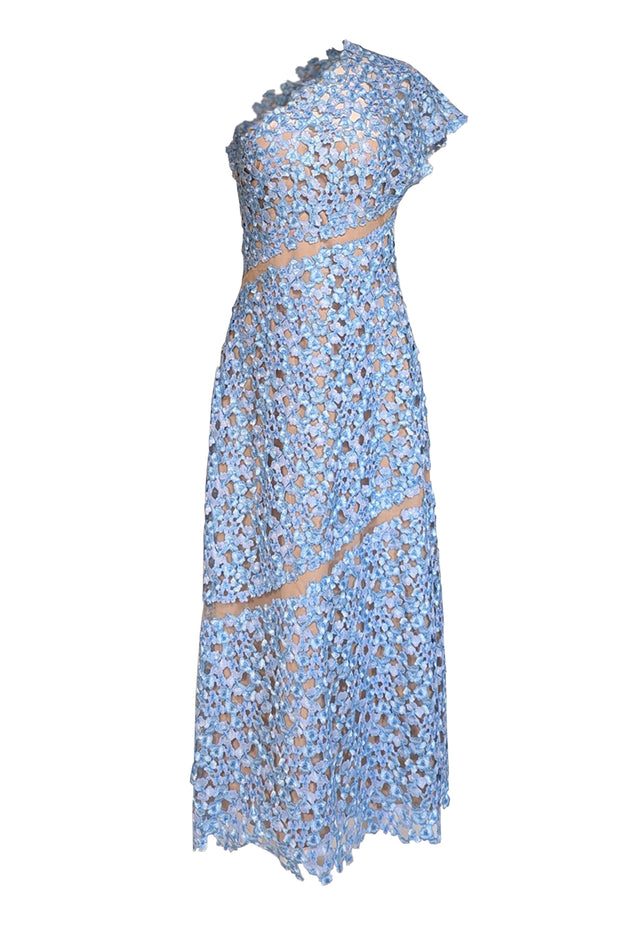 Lela Rose Women's Asymmetric Floral Embroidered Lace Maxi Dress - Sky