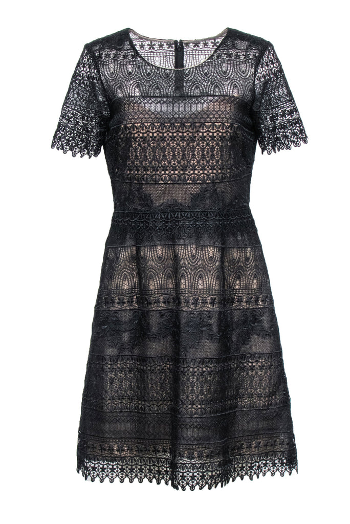 Marchessa Notte - Black Lace Short Sleeve A-Line Dress Sz 8