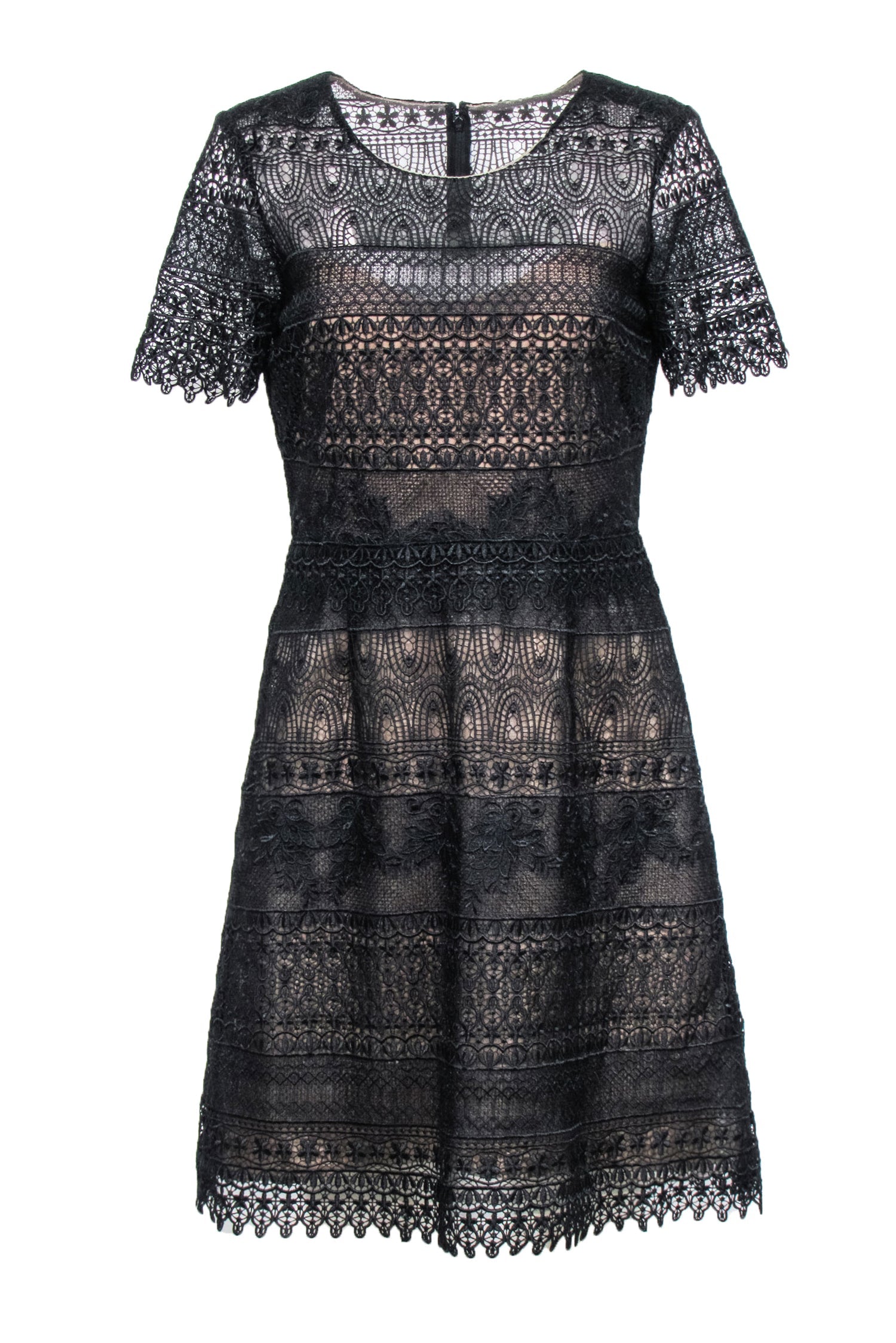 Marchessa Notte - Black Lace Short Sleeve A-Line Dress Sz 8 | Current Boutique Marchessa Notte - Black Lace Short Sleeve A-Line Dress Sz 8 | Current Boutique