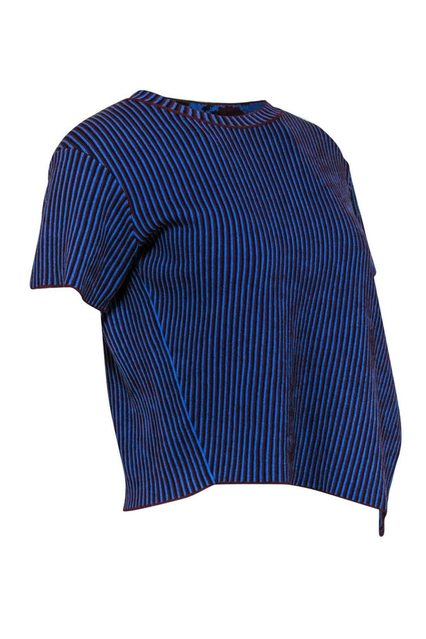 Current Boutique-Acne Studios - Blue & Maroon "Jana" Striped & Floral Knit Top Sz XS