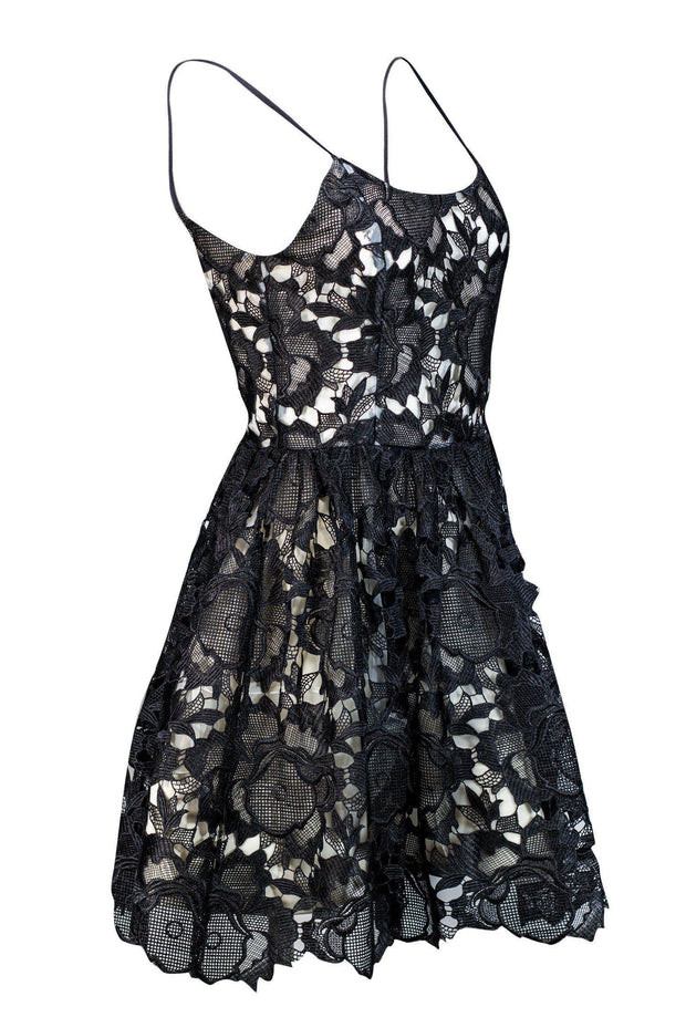Current Boutique-Alice & Olivia - Black & Ivory Lace Flared Dress Sz 4