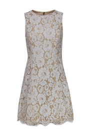 Current Boutique-Alice & Olivia - Tan & Cream Lace A-Line Dress Sz 2