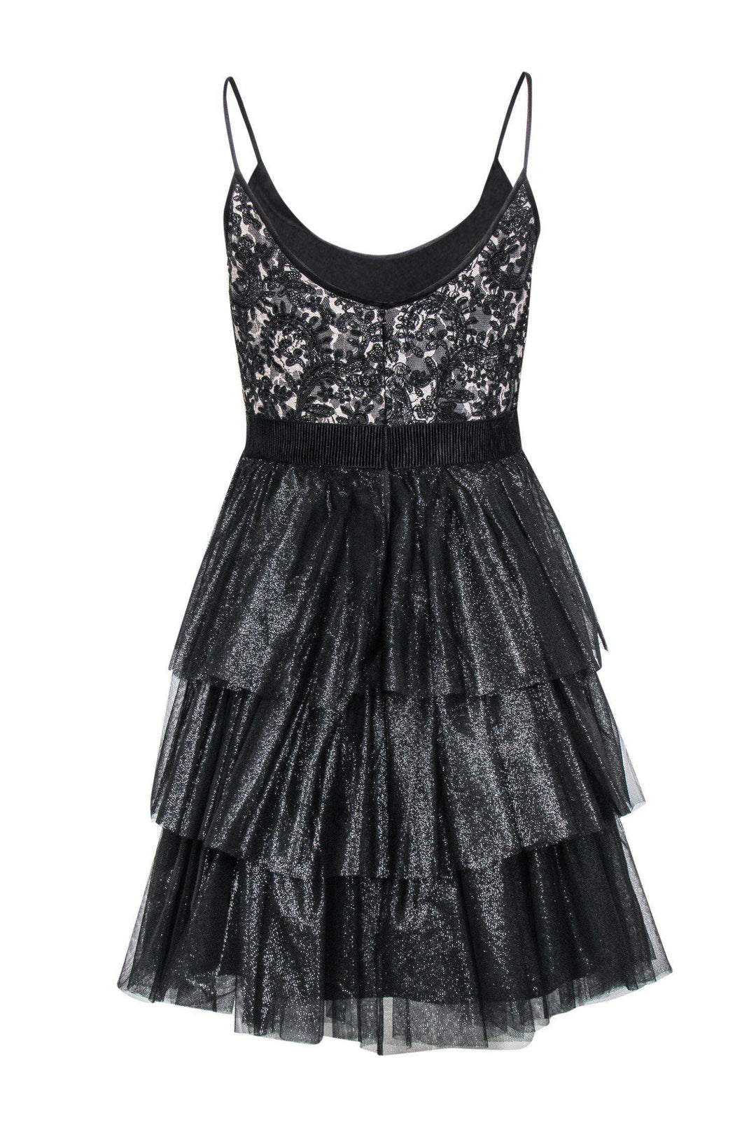 Badgley Mischka - Black & Nude Lace Fit & Flare Dress w/ Sparkly Tulle –  Current Boutique