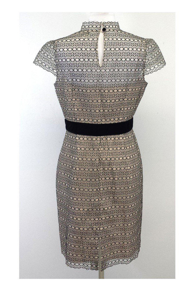 Current Boutique-Milly - Beige & Black Sheer Panel Cap Sleeve Dress Sz 10