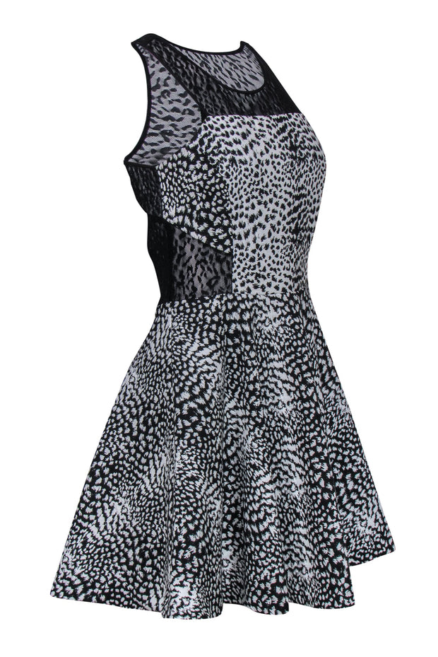 Current Boutique-Parker - Black Mesh & Animal Print Mini Dress Sz M