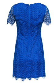 Current Boutique-Reiss - Blue Lace Shift Dress Sz 6