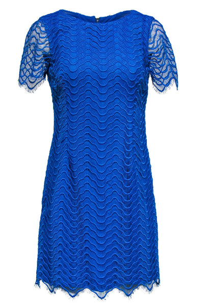 Current Boutique-Reiss - Blue Lace Shift Dress Sz 6