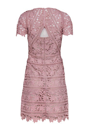 Current Boutique-Reiss - Blush Pink Floral Lace Sheath Dress Sz 4