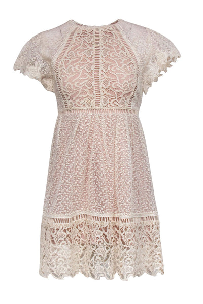 Current Boutique-Ranna Gill - Beige Floral Embroidered & Lace Short Sleeve Dress Sz 00P